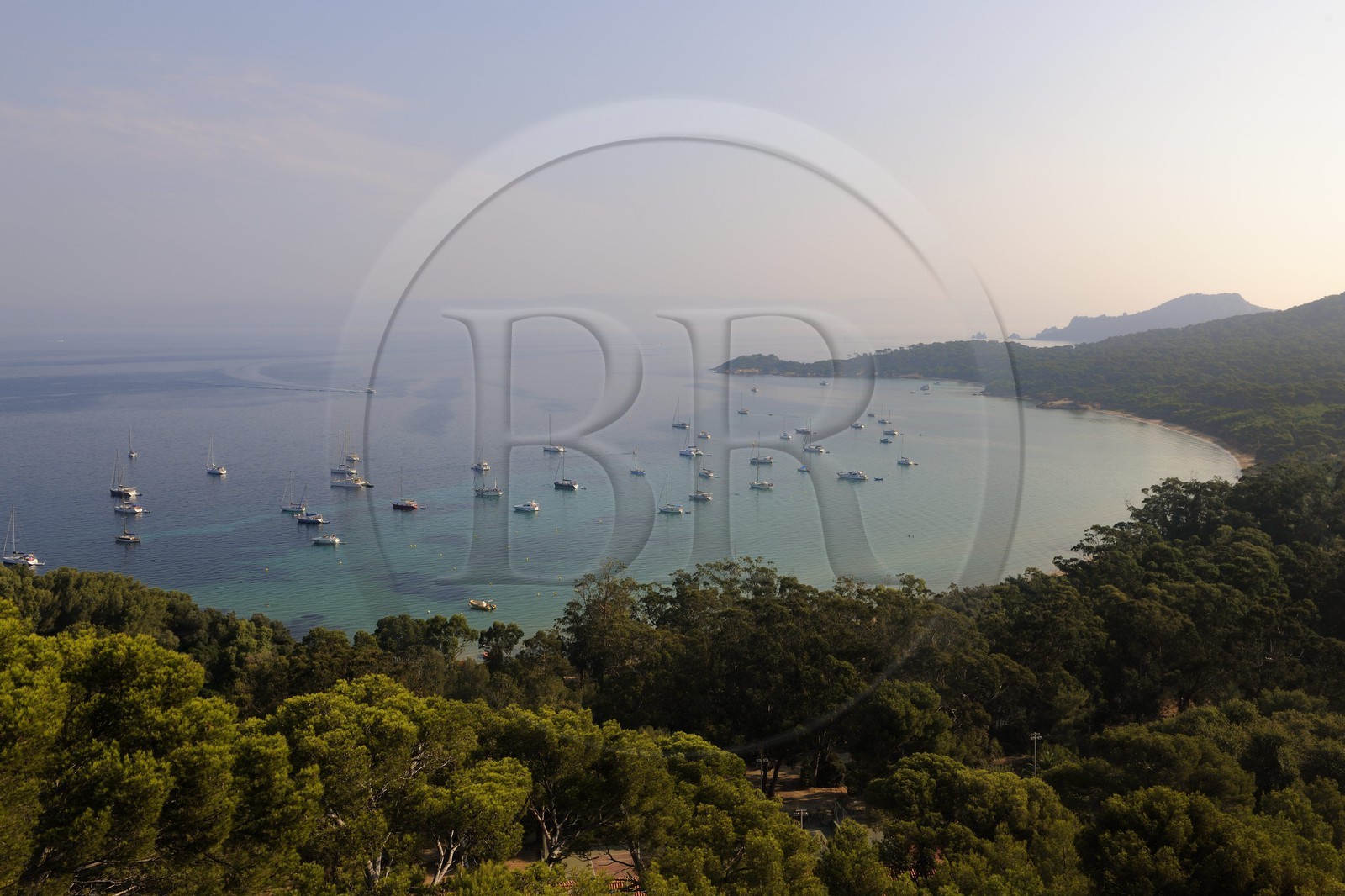 France, Var, Iles d'Hyeres, National Park of Port Cros, ile de Porquerolles, the Courtade beach