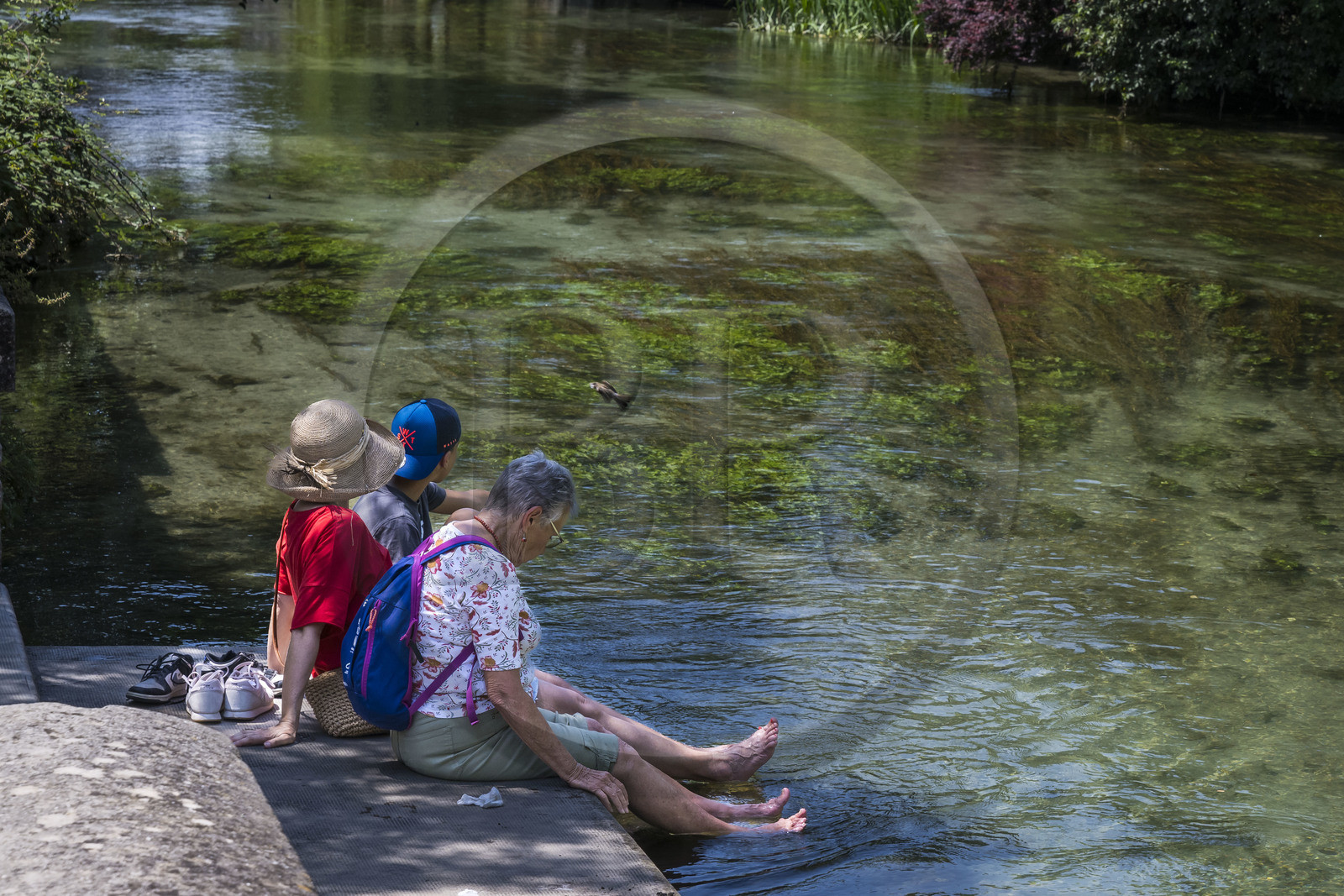 France, Vaucluse (84), L'Isle-sur-la-Sorgue, moment de relaxation sur les berges de la Sorgue aux ondoyant herbiers, poisson sautant dans la rivière