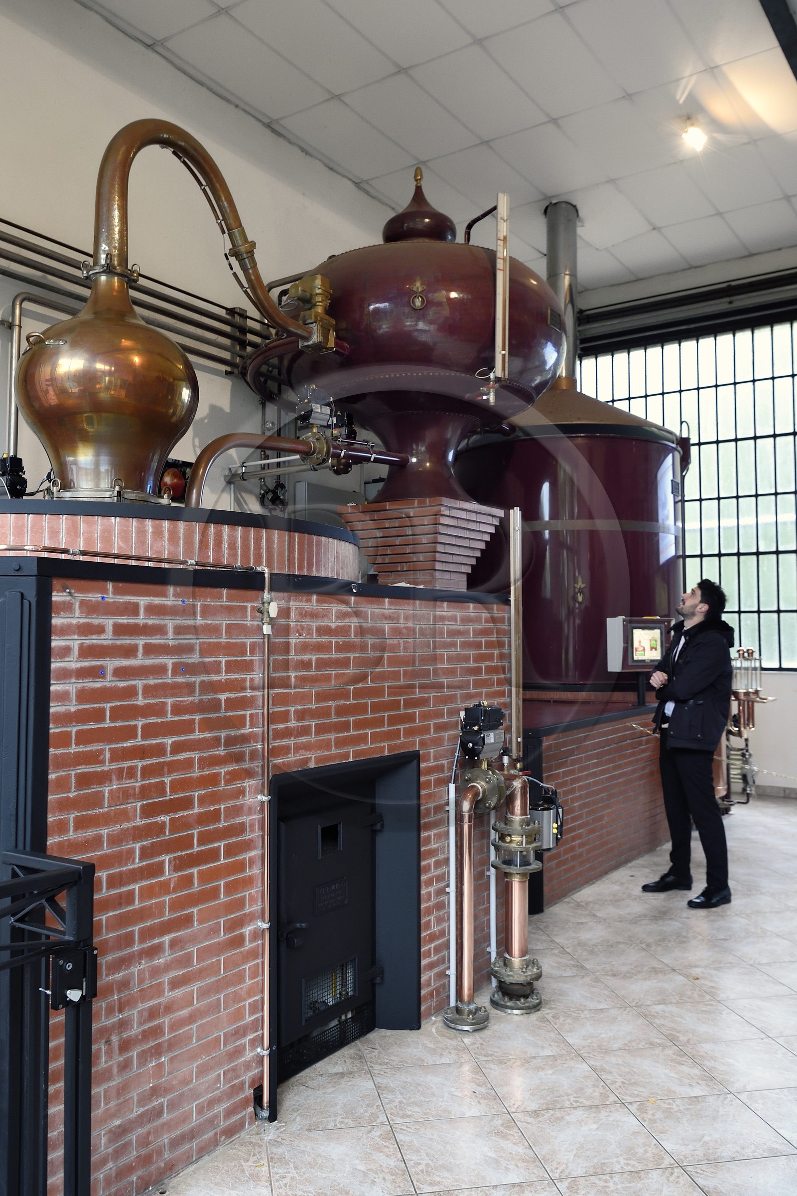 France, Calvados (14), Pays d'Auge, Le Breuil-en-Auge, Chateau du Breuil producteur de Calvados AOC Pays d’Auge, distillerie, alambic à repasse avec cuves de type cognac