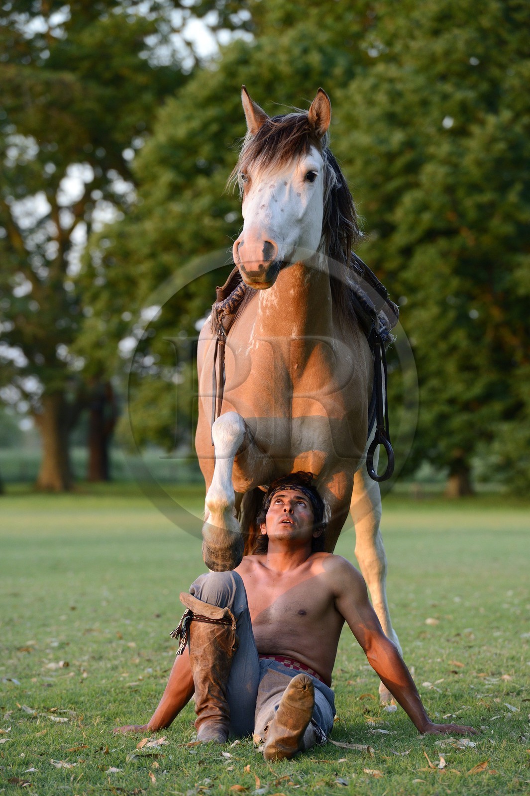 Argentine, province de Buenos Aires, San Antonio de Areco, estancia La Bamba de Areco, demonstration du savoir-faire d'un cavalier amerindien avec son cheval