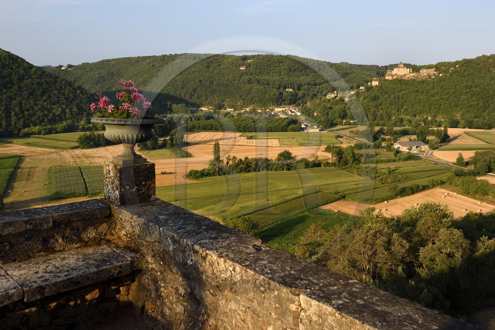 France, Dordogne (24), Périgord Noir, vallée de la Dordogne, Vézac, les jardins du château de Marqueyssac du XVIIIe siècle et le château de Castelnaud-la-Chapelle en arrière plan