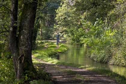France, Nièvre (58), Parc naturel régional du Morvan, en amont de l'aqueduc de Montreuillon, cycliste sur le chemin bordant la Rigole d'Yonne qui puise les eaux de l'Yonne au lac de Pannecière et alimente le canal du Nivernais