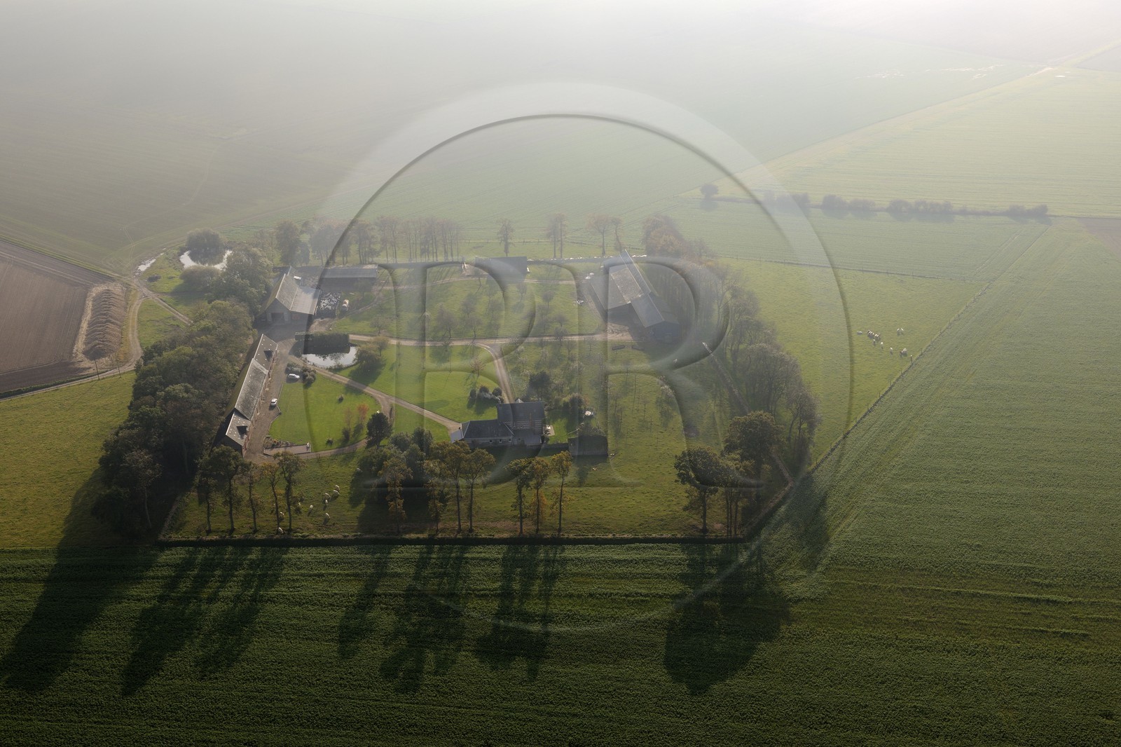 France, Seine-Maritime, , Clos masure, a typical farm of Normandy (aerial view)