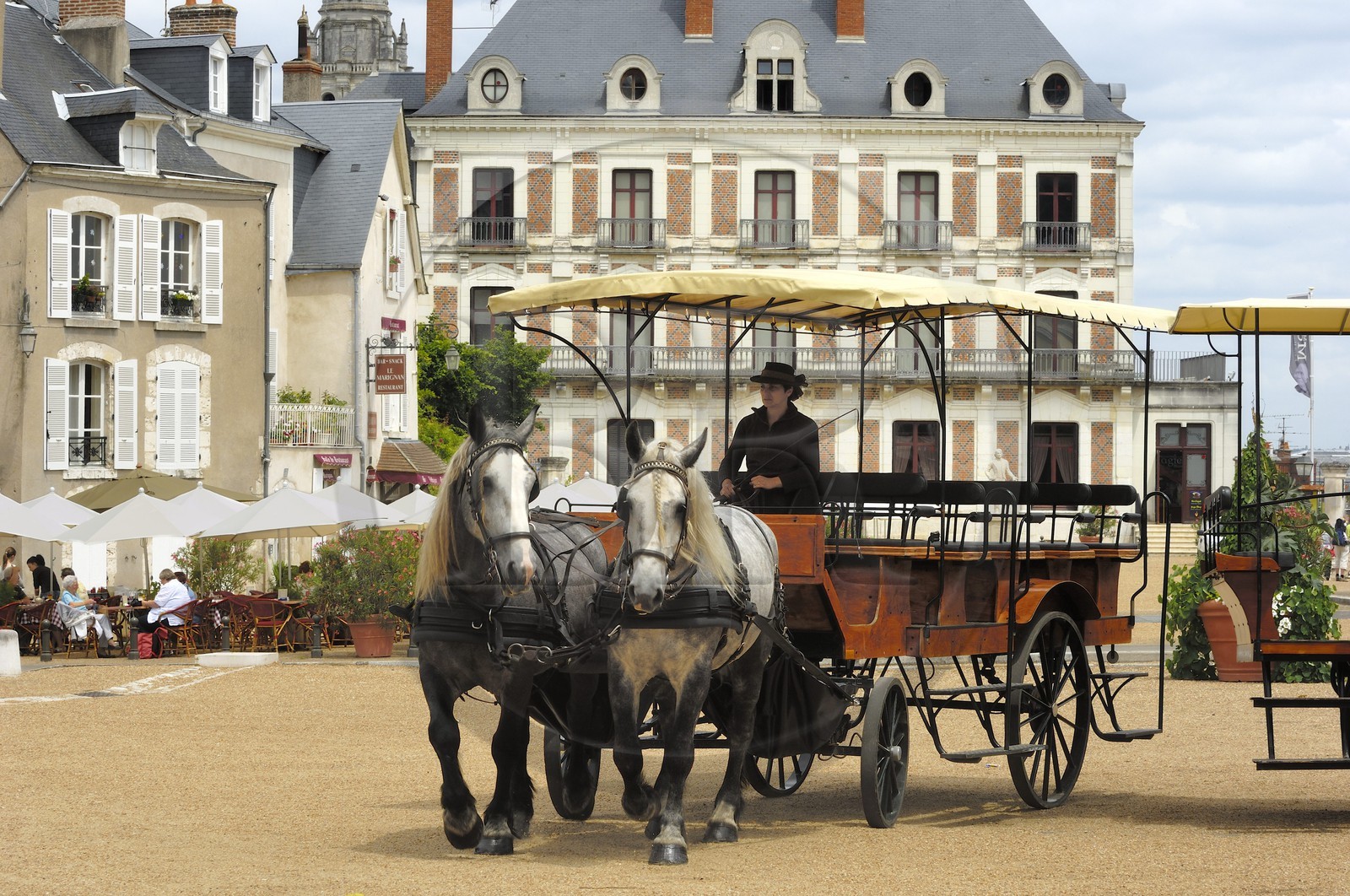France, Loire et Cher (41), Blois, calèche sur la place du château