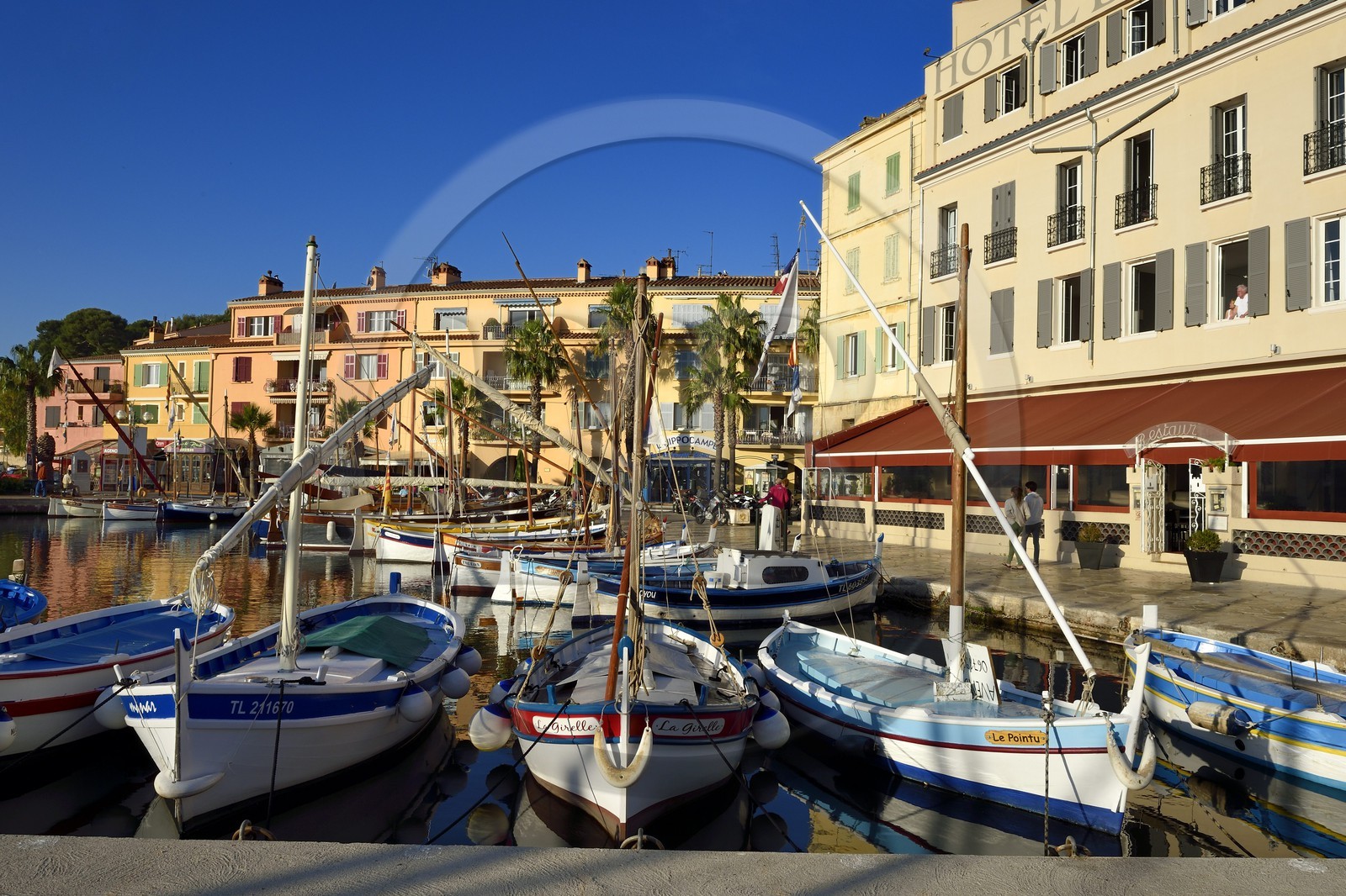France, Var, Sanary-sur-Mer, traditional fishing boats called pointus in the port