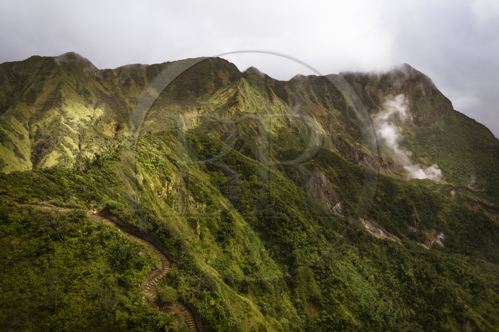 Caribbean, Dominica Island, Castle Bruce, Morne Trois Pitons National Park listed as World heritage by UNESCO, the tropical forest around the Boiling Lake whose vapors can be seen (aerial view)
