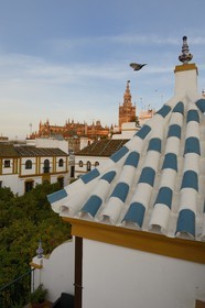 Spain, Andalusia, Seville, Santa Cruz district, plaza de Dona Elvira and the Giralda in the background