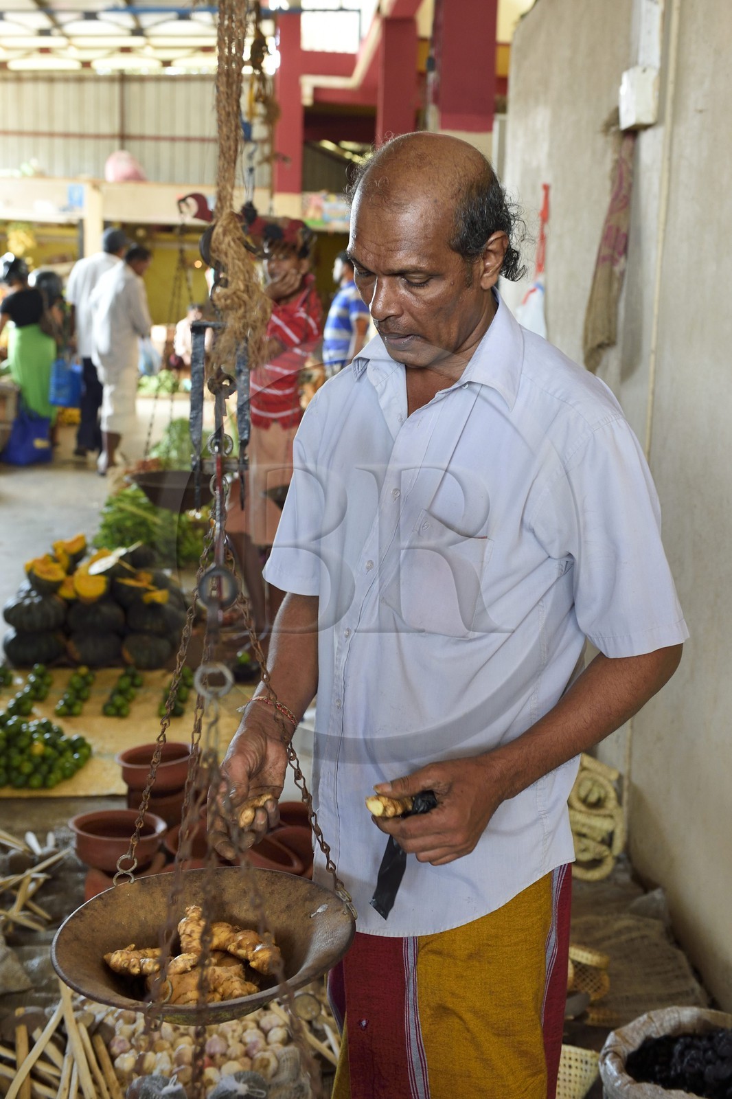 Sri Lanka, province de l'Est, Trincomalee, le marché couvert, vente de gingembre