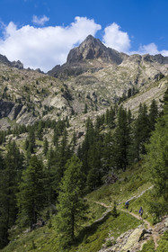 France, Alpes-Maritimes (06), parc national du Mercantour, Haute-Vésubie, Saint-Martin-Vésubie, Val du Haut Boréon, randonneurs en marche pour le refuge de Cougourde et la Cime Guilié (2999m) en arrière-plan