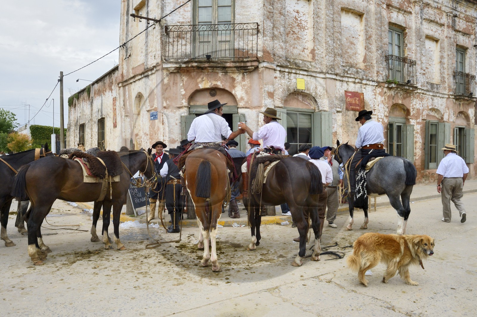 Argentine, province de Buenos Aires, San Antonio de Areco, fête du Jour de la Tradition (Dia de la Tradicion), la pulpería El Boliche de Bessonart, café traditionnel des gauchos