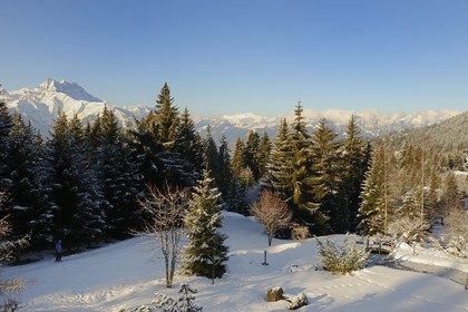 Suisse, Canton de Vaud, Villars sur Ollon