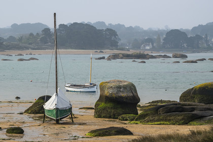 France, Côtes-d'Armor (22), Côte de Granit Rose, Trégastel, Ile Renote, la plage à marée basse