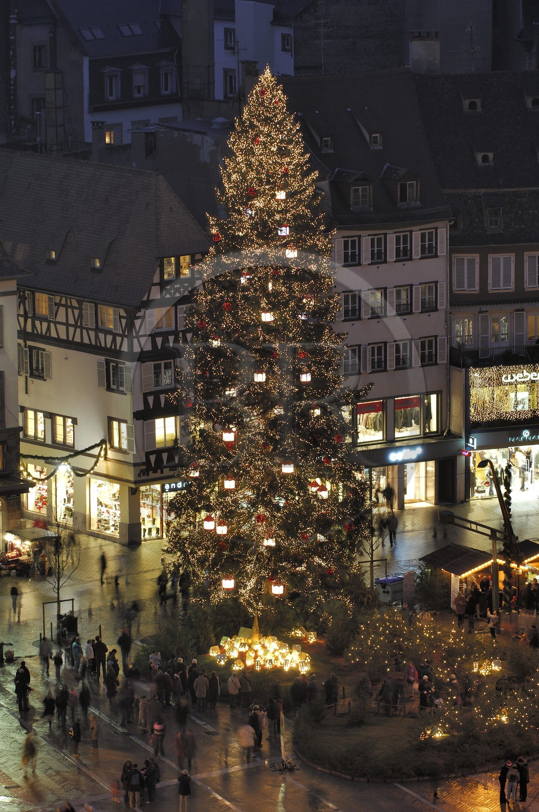 France, Bas Rhin (67), Strasbourg, le Grand Sapin de Noel de la place Kleber et la cathedrale