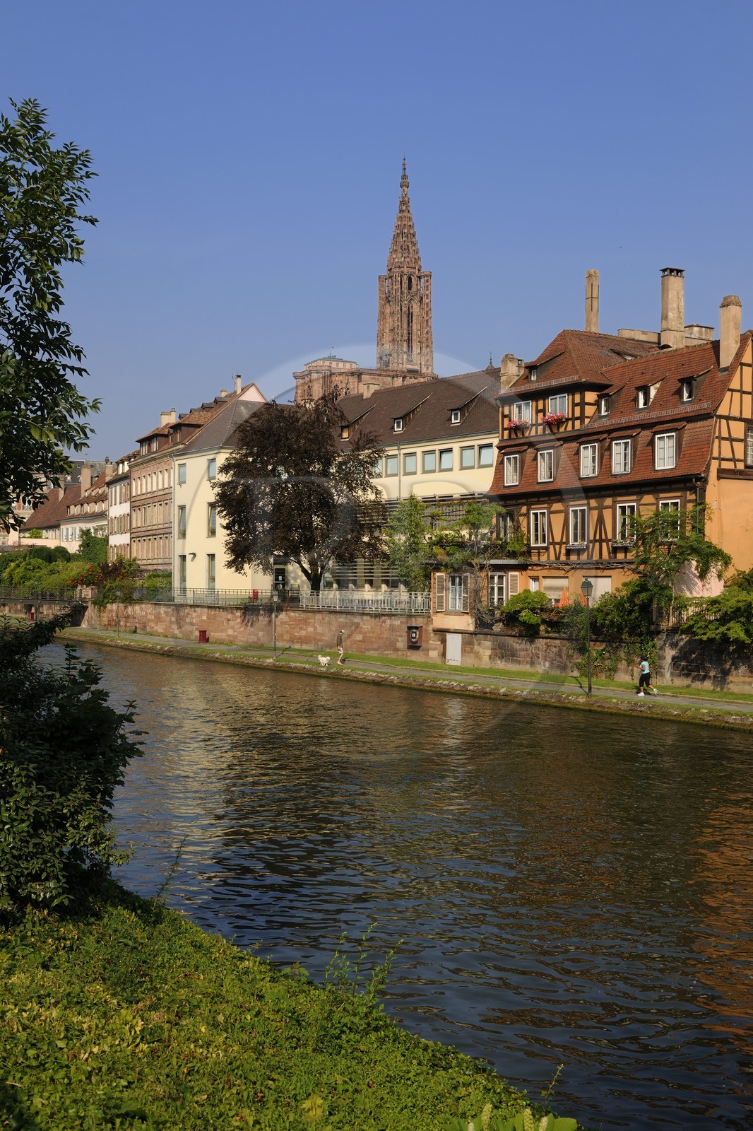 France, Bas Rhin, Strasbourg, old town listed as World Heritage by UNESCO, banks of Ill River facing quai des Bateliers and the cathedral