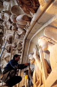 France, Paris (75), la cathédrale Notre-Dame, installation de système électrique anti-pigeons sur les statues (société Sertep)