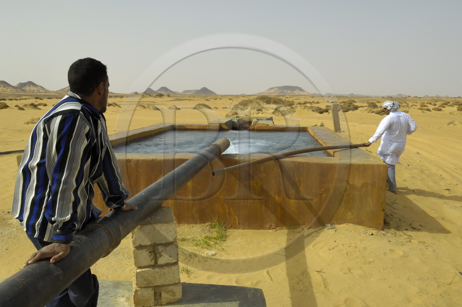 Egypte, Basse-Egypte, désert libyque, oasis de Bahariya (Bahareyya),  source d'eau chaude