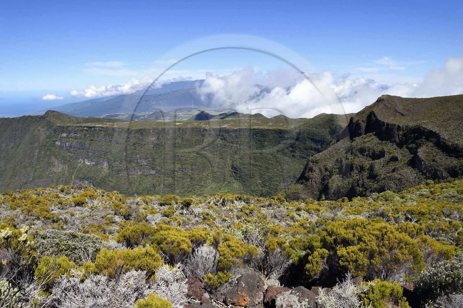France, Ile de la Reunion, Parc National de la Réunion classé Patrimoine Mondial de l'UNESCO, volcan du Piton de la Fournaise, vallée de la Rivière des Remparts