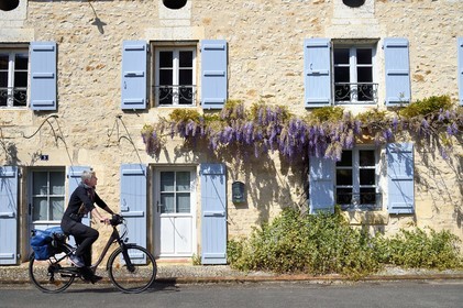 France, Charente (16), Marthon, cycliste sur la Coulée d’Oc (portion de la véloroute La Flow Vélo), glycine sur une facade de maison traditionnelle