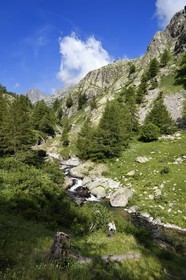 France, Alpes-Maritimes (06), parc national du Mercantour, vallée de la rivière Valmasque et sommets de la haute Valmasque, Alain Lanteri-Minet, guide et ancien garde-moniteur du parc