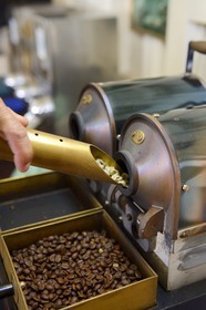 Panama, province de Chiriqui, Boquete, plantation de café Finca Lerida, torréfaction de grains de café