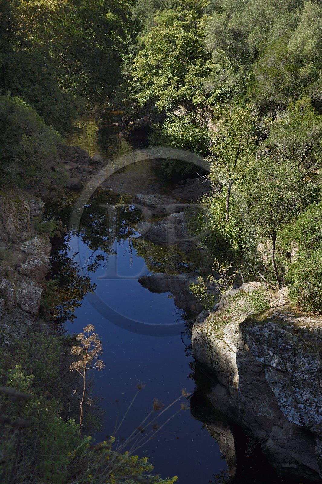 France, Corse-du-Sud (2A), Vallée du Prunelli à Palmente