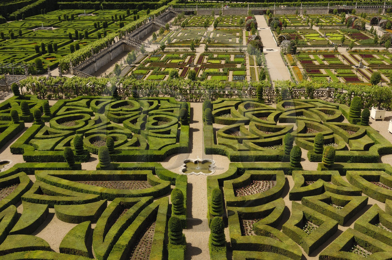 France, Indre-et-Loire (37), vallée de la Loire classée Patrimoine Mondial de l'UNESCO, les jardins à la française du château de Villandry, propriété d'Angélique et Henri Carvallo