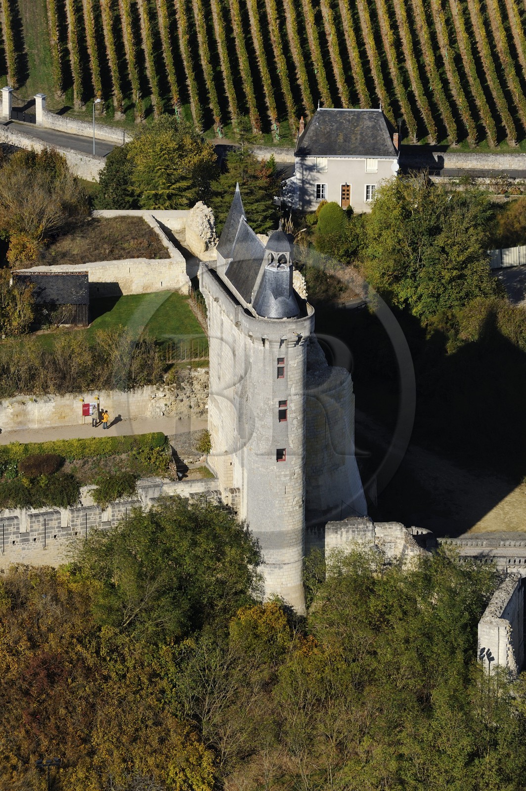 France, Indre et Loire, Loire Valley listed as World Heritage by UNESCO, Chinon, the castel and Joan of Arc Museum in the castle clock tower (aerial view)