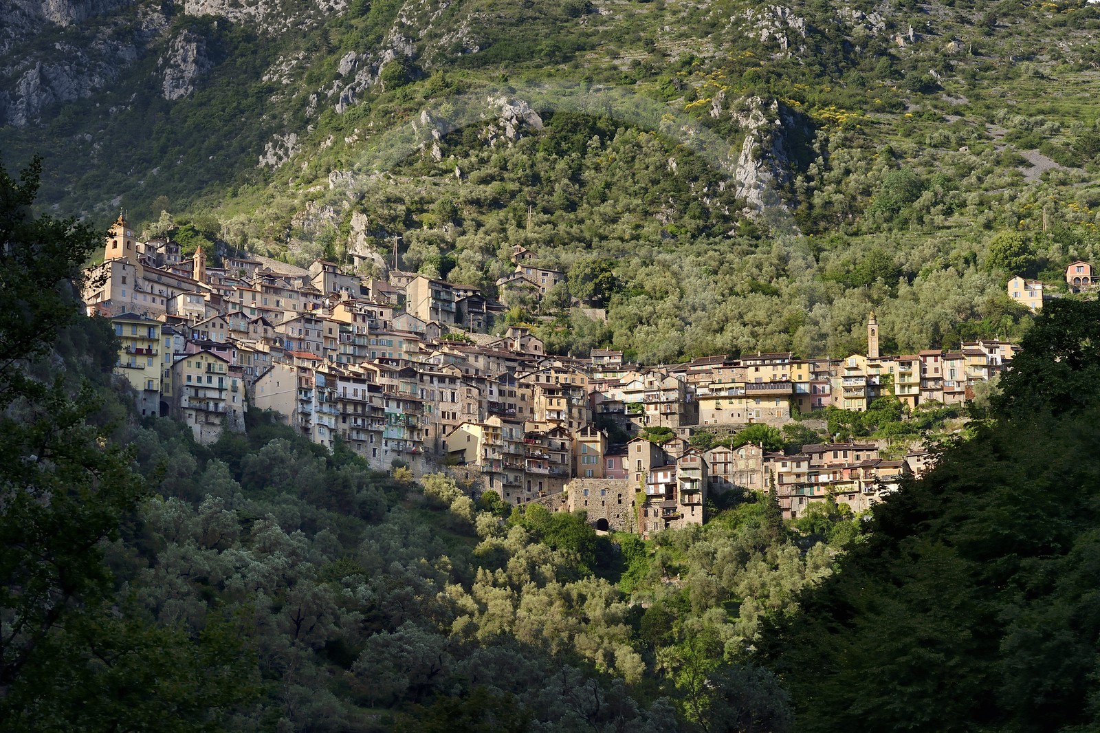 France, Alpes-Maritimes (06), vallée de la Roya (arrière-pays niçois), au pied du parc national du Mercantour, le village perché de Saorge