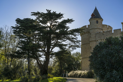 France, Pyrénées-Atlantiques (64), la côte du Pays-Basque, Hendaye, chateau d'Abbadia construit en 1870 par Eugène Viollet-le-Duc pour Antoine d'Abbadie d'Arrast