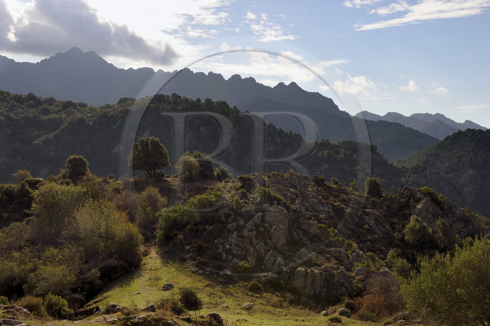 France, Corse-du-Sud (2A), Vallée du Prunelli, gorges du Prunelli