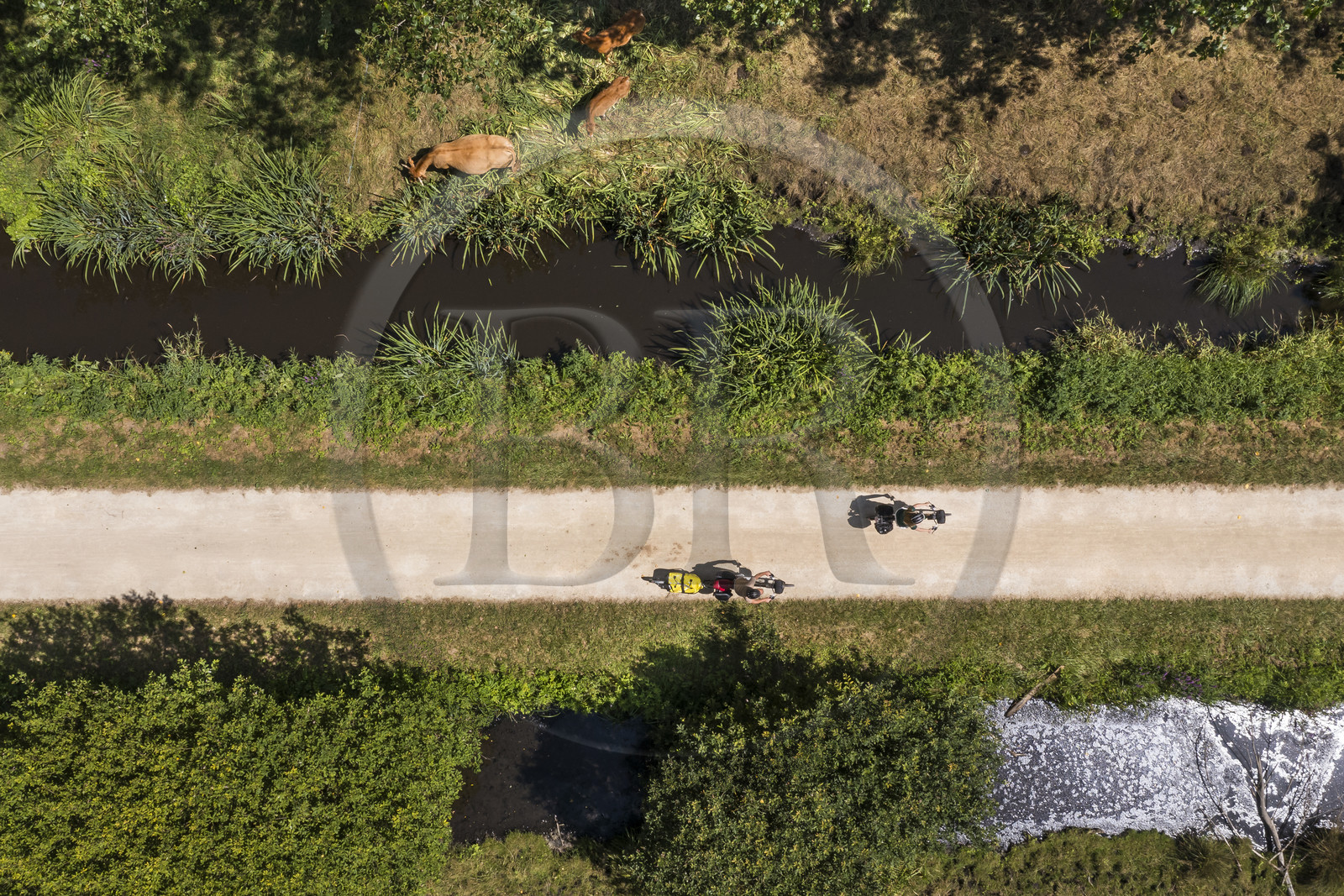 France, Deux-Sèvres (79), le Marais Poitevin, la Venise Verte, Sansais, randonnée à bicyclette le long de la Sèvre Niortaise sur la voie cyclable de la Vélo Francette (vue aérienne)