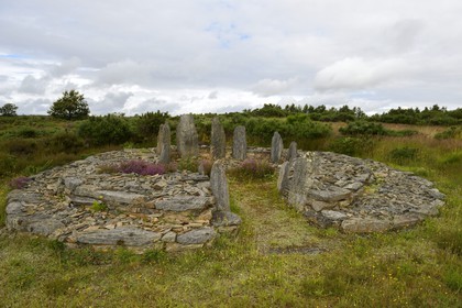 France, Ille-et-Vilaine (35), Saint-Just, monuments mégalithiques de la Lande de Cojoux, dolmen ouest de la Croix Saint Pierre
