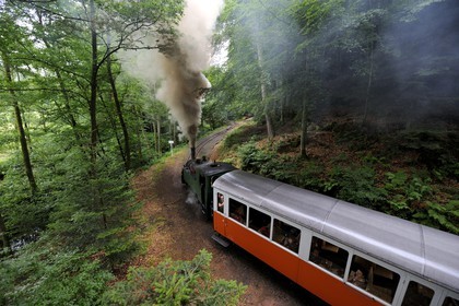 France, Moselle (57), Abreschviller, le petit train anciennement train forestier