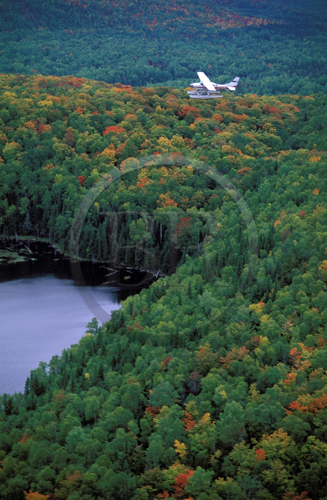 Canada, province de Québec, survol en hydravion du Parc National de la Mauricie (vue aérienne)