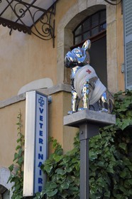 France, Var (83), Provence Verte, Cotignac, cours Gambetta, chien bandé comme enseigne d'une clinique vétérinaire