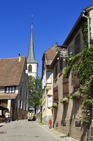 France, Bas-Rhin (67), Route des vins d'Alsace, Mittelbergheim, labellisé Les Plus Beaux Villages de France, la rue principale