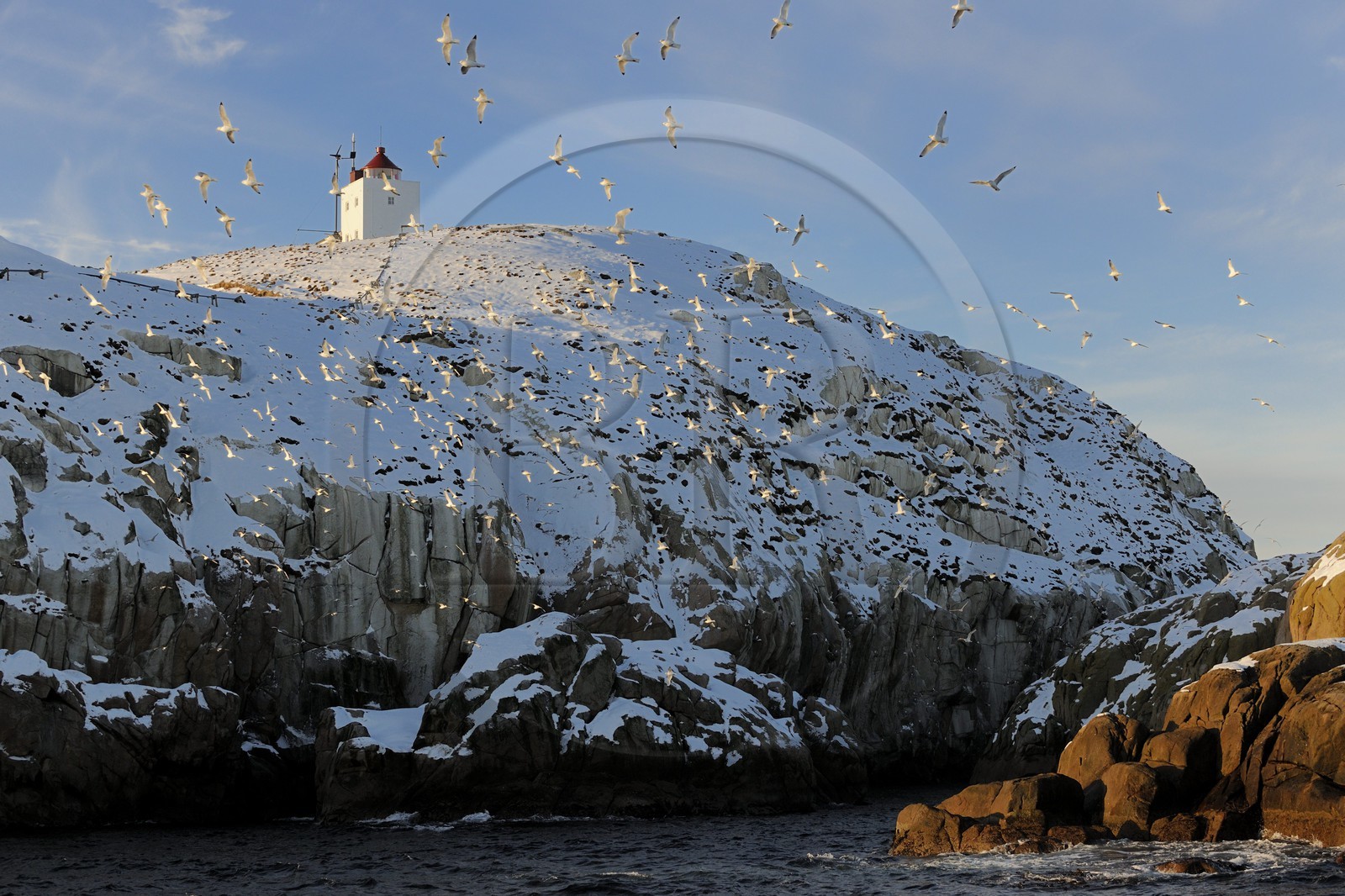 Norvège, Nordland, iles des Westeralen, région de Myre, le phare de l'ile aux oiseaux au large de Sto