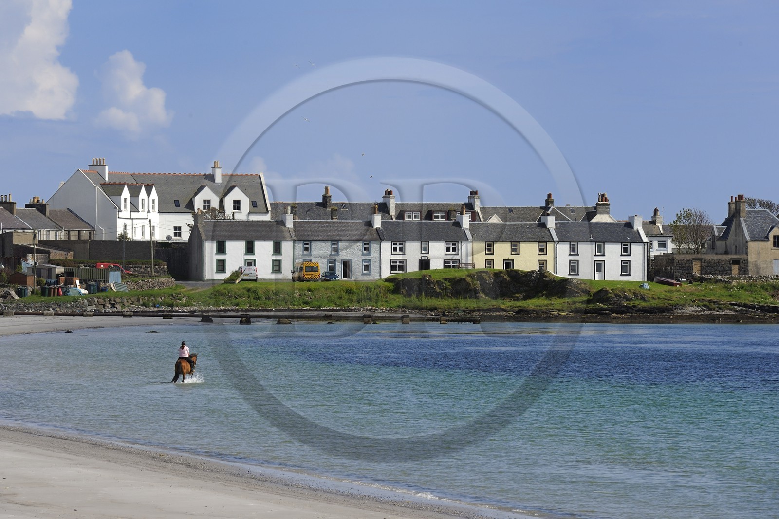 Royaume-Uni, Ecosse, Hébrides intérieures, Ile de Islay, promenade à cheval à Port Ellen