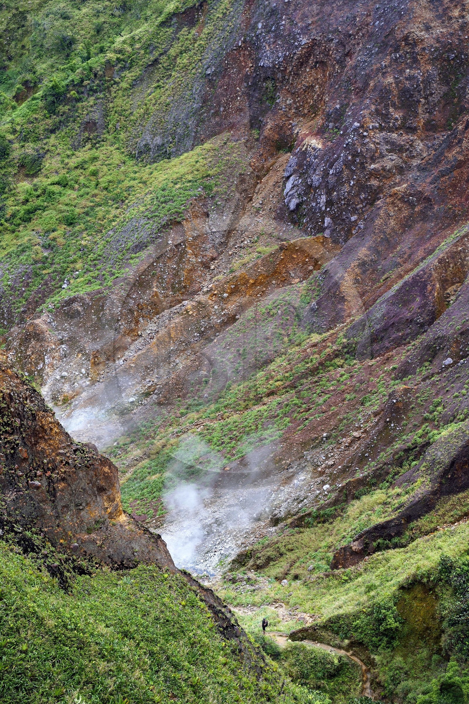 Caraïbes, Ile de la Dominique, Castle Bruce, Parc national du Morne Trois Pitons classé Patrimoine Mondial de l'UNESCO, la Vallée de la Désolation avec fumerolles et sources d'eau chaude, randonnée sur le sentier menant au Boiling Lake