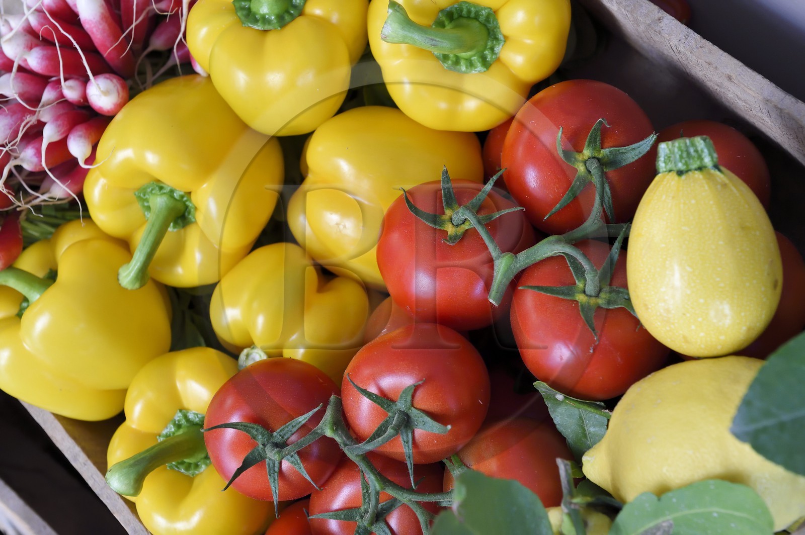 France, Alpes-Maritimes (06), Antibes, panier de légumes