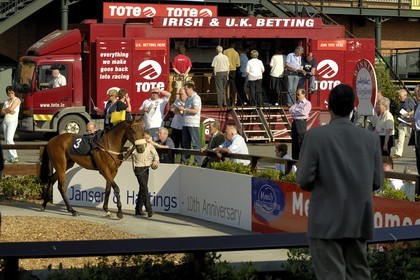 Republic of Ireland, County Meath, Ratoath, Fairyhouse racecourse, presentation of the horses before the race