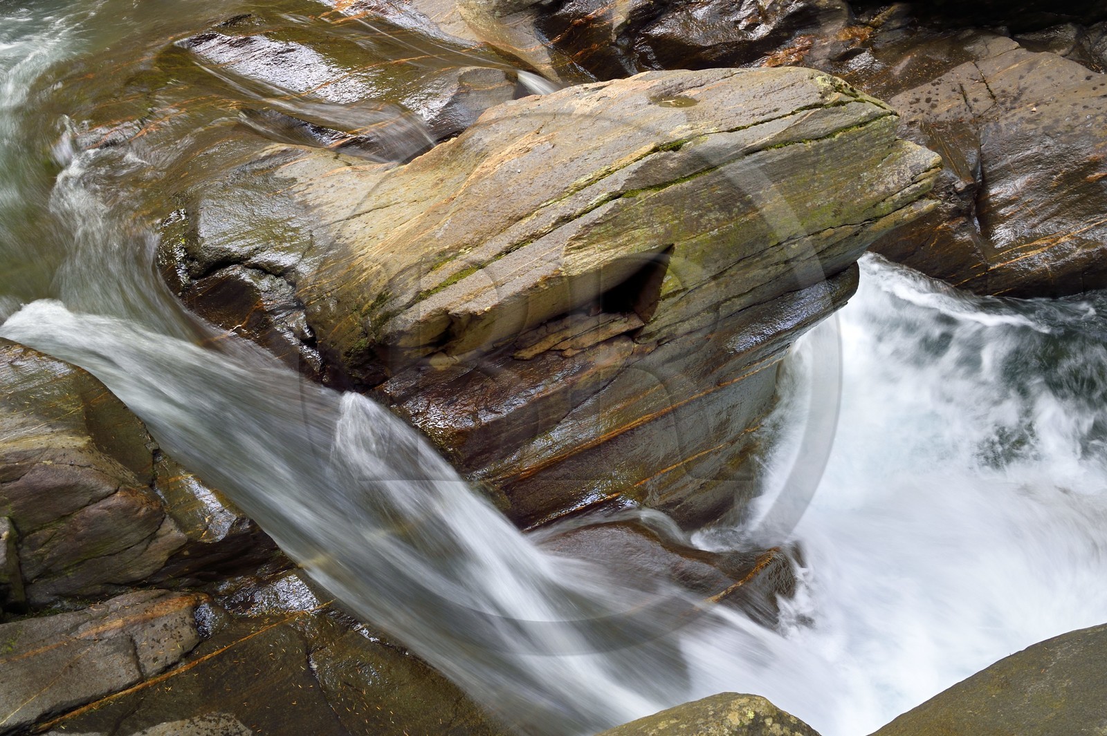 France, Hautes-Pyrénées (65), Saint-Lary-Soulan, vallée du Rioumajou, la (rivière) Neste de Rioumajou