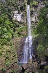 Caraïbes, Ile de la Dominique, Parc national du Morne Trois Pitons classé Patrimoine Mondial de l'UNESCO, randonneur à la cascade de Middleham Falls sur le sentier de randonnée Waitukubuli qui traverse l’ile