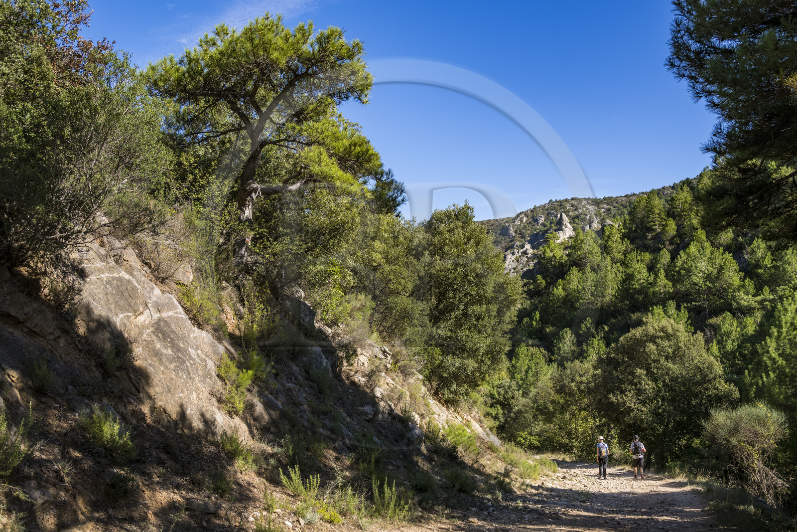 France, Herault, the Causses and the Cevennes, Mediterranean agro pastoral cultural landscape, listed as World Heritage by UNESCO, Saint Guilhem le Desert, labelled Les Plus Beaux Villages de France (The Most Beautiful Villages of France), hikers on the Via Tolosana on the Way of Santiago de Compostela at Ravin de la Cote