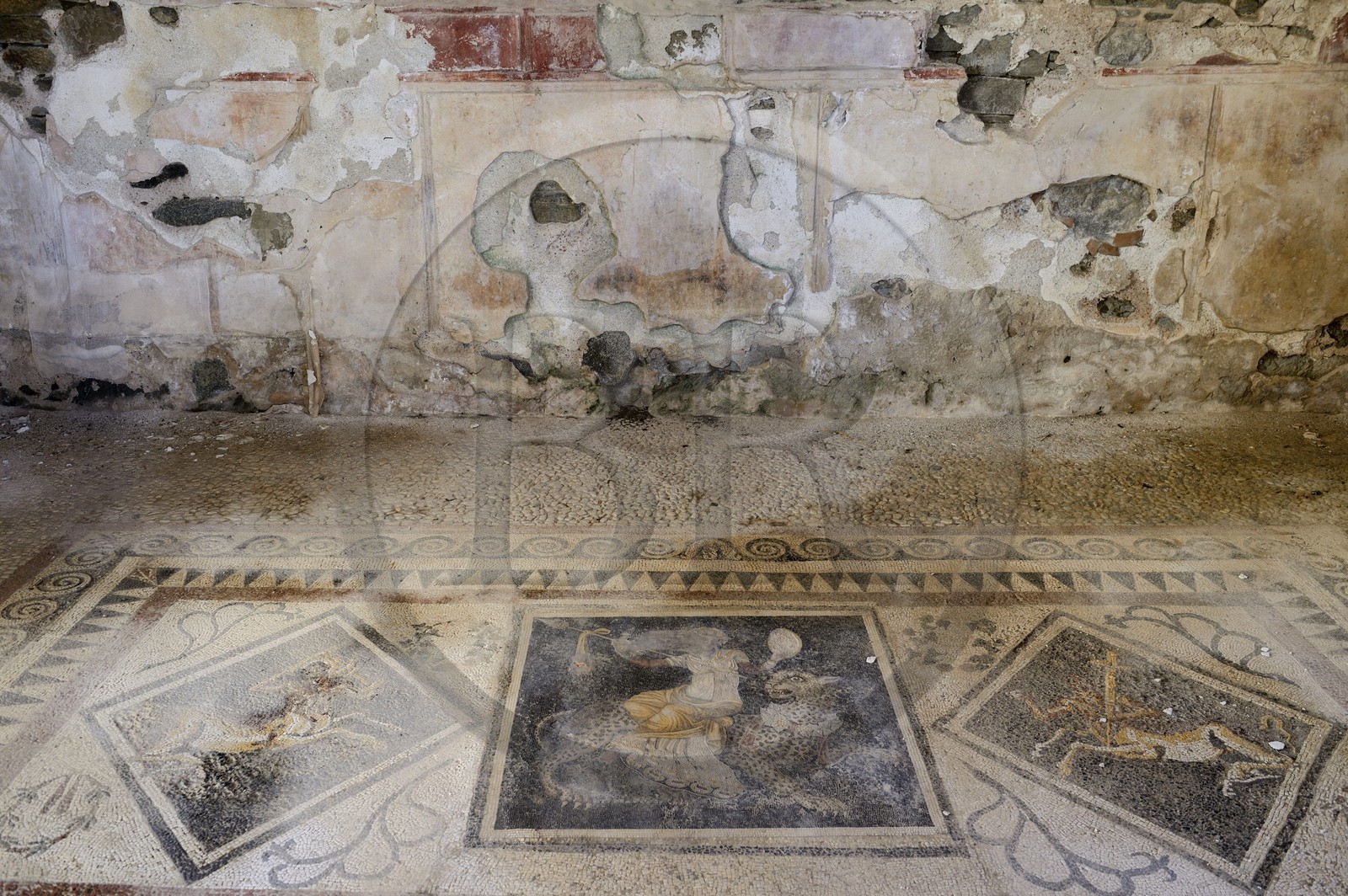 Grèce, île de Delos, classée Patrimoine Mondial de l'UNESCO, site archéologique de Délos, sanctuaire d'Apollon, la plus grande cité antique de la mer Egée, mosaïque représentant Dionysos sur un guépard dans la Maison des masques