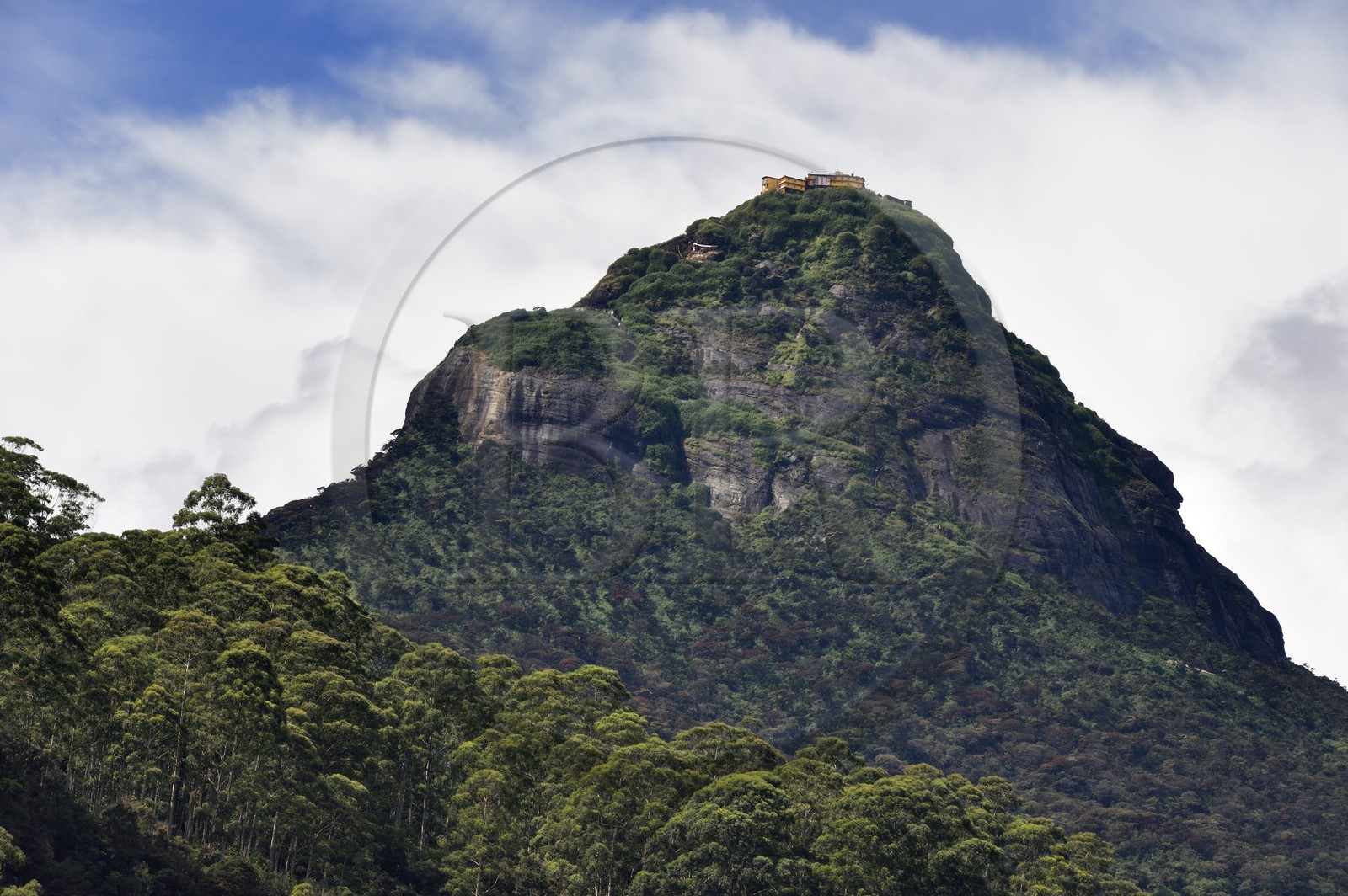 Sri Lanka, province du centre, Dalhousie, le Pic d'Adam (Adam's Peak)