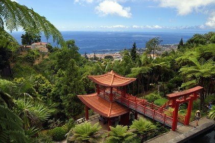 Portugal, Ile de Madère, Funchal, le jardin tropical Monte Palace domine Funchal
