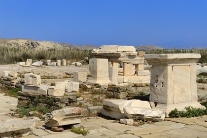 Greece, Cyclades islands, Delos, listed as World Heritage by UNESCO, the archaeological site of Delos, Apollo's Sanctuary, the most ancient city of the Aegean Sea, Agora of the Competaliastae