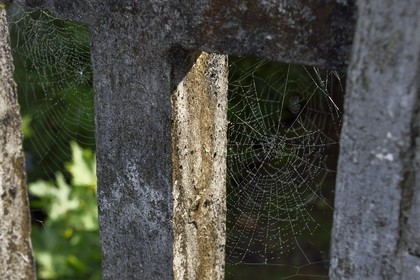 France, Pyrenees Atlantiques, Basque Country, Saint Etienne de Baigorry, cobwebs on the bridge