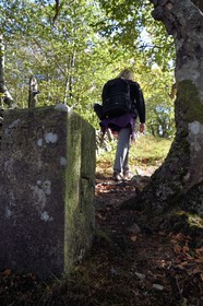 France, Vosges, Ballons des Vosges Regional Natural Park, Saint Maurice sur Moselle, Gazon Rouge meadow, a former French and German border pillar where we can see the F